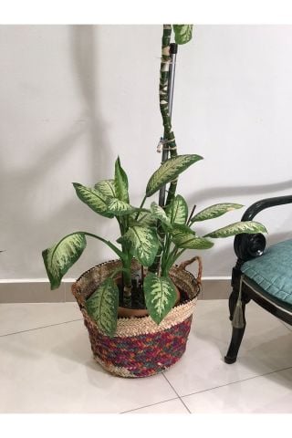 CHİCORY DOĞAL HASIR SAKSI ,RENKLİ 32X40 CM