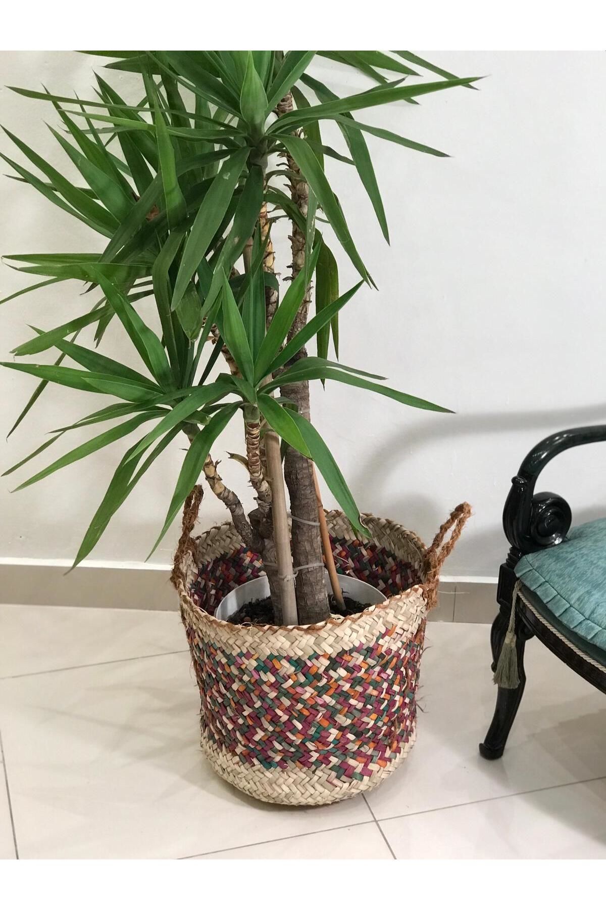 CHİCORY DOĞAL HASIR SAKSI ,RENKLİ 44 x 44 CM