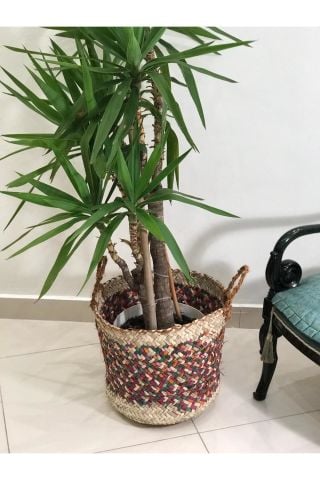 CHİCORY DOĞAL HASIR SAKSI ,RENKLİ 44 x 44 CM