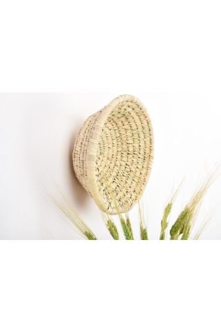 DİCHONDRA HASIR DUVAR TABAĞI 25 CM